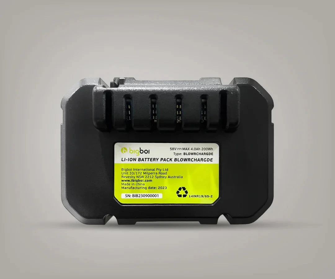 BLOWR CHARGD Lithium-Ion Battery Charger