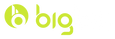 ibigboi.com