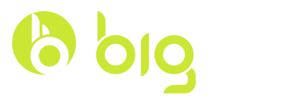 ibigboi.com