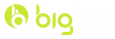 ibigboi.com