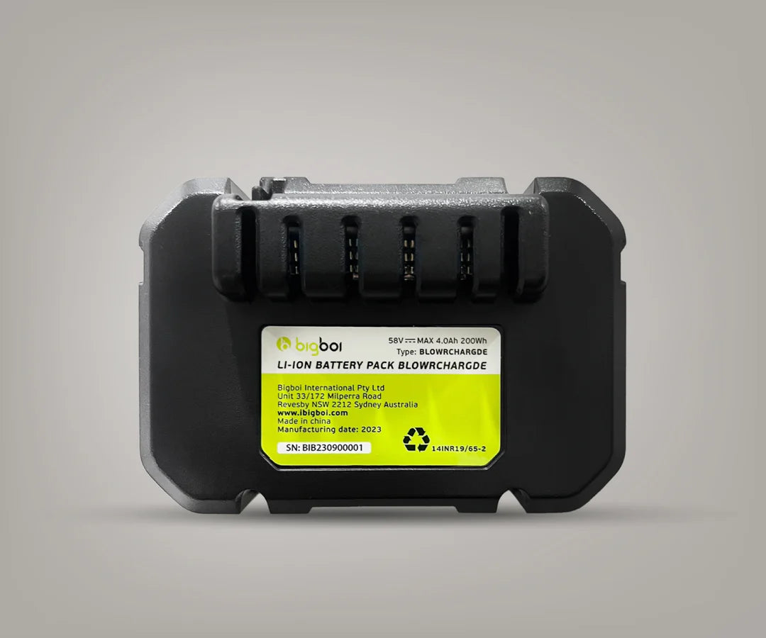 BLOWR CHARGD Lithium-Ion Battery Charger