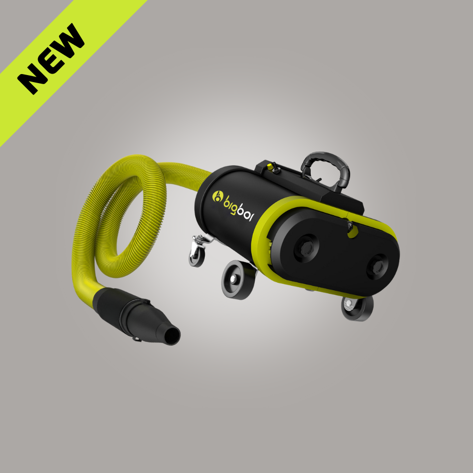 BlowR PRO MKII - Car Dryer - Dual Motors 