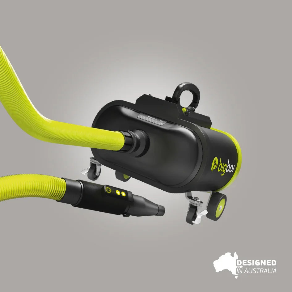 bigboi blowr pro plus mkii professional touchless car dryer with twin motors and remote control
